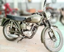 272   -  TRIUMPH T20MWD