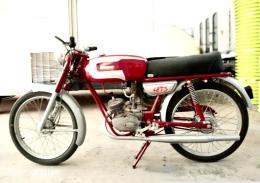 288   -  DUCATI 48 TS