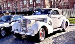 246   -  BUICK Eight Special Convertible