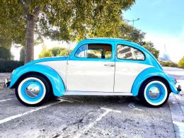 221   -  VOLKSWAGEN Beetle Oval Sunfoof Custom *Sin Precio de Reserva*